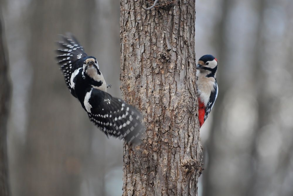 Photograph by Алексей Volg