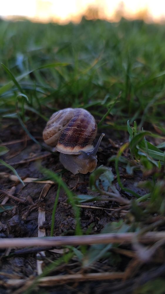 Фотография автора Оксана Антощук