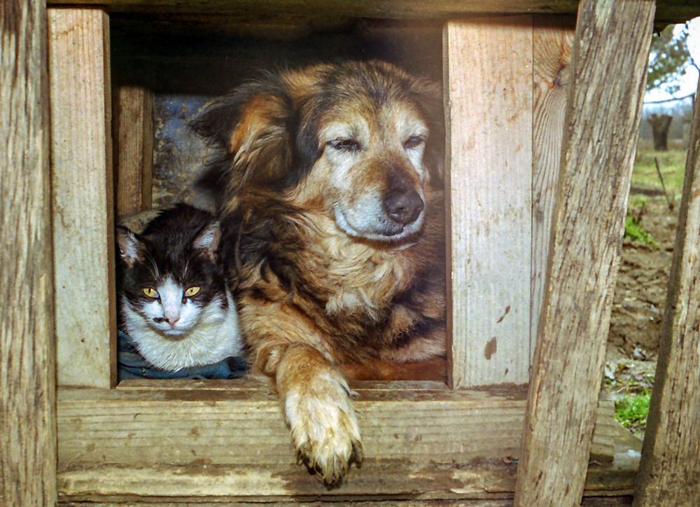 Photograph by Сергей Христинич