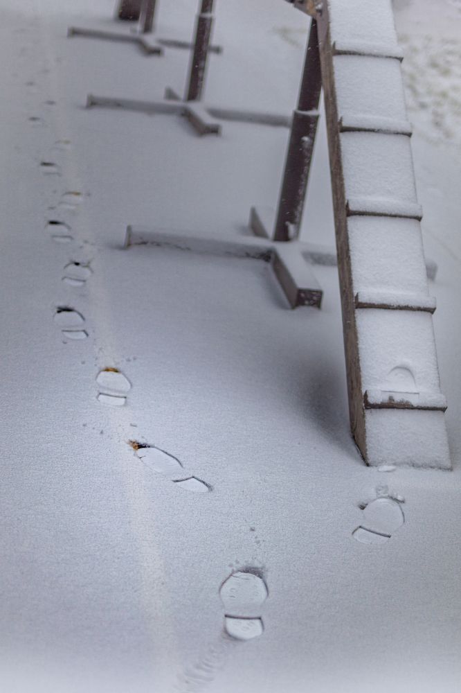 Photograph by Григорий Шишонков