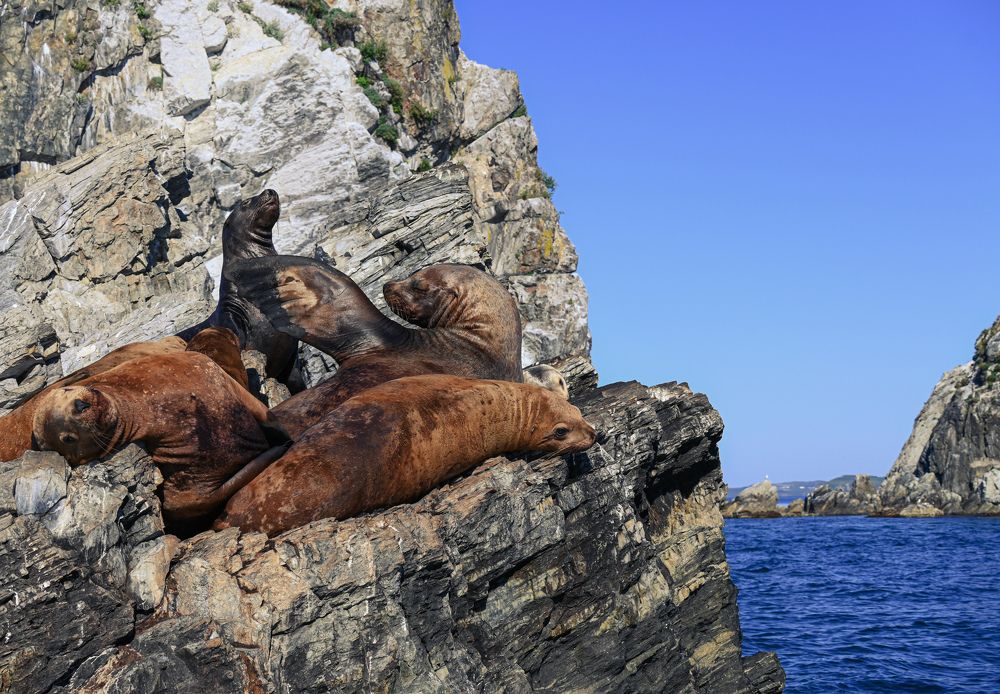 Фотография автора Надежда Барышева