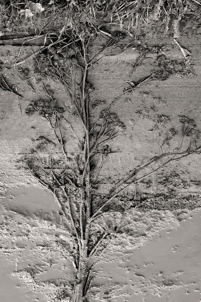 Photograph by Andrey Sensetic