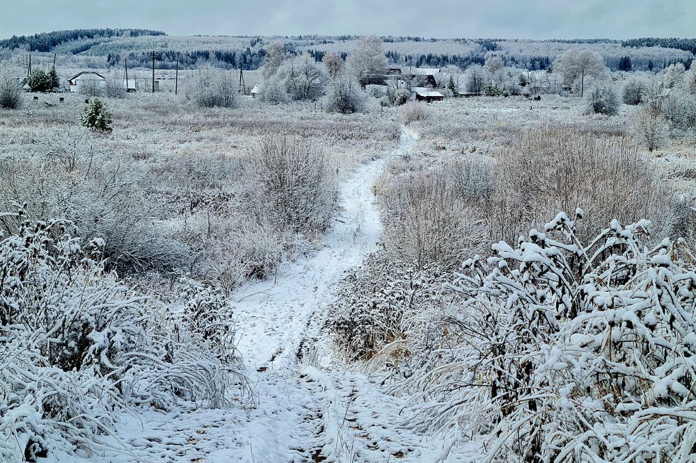 Photograph by Andrey Sensetic