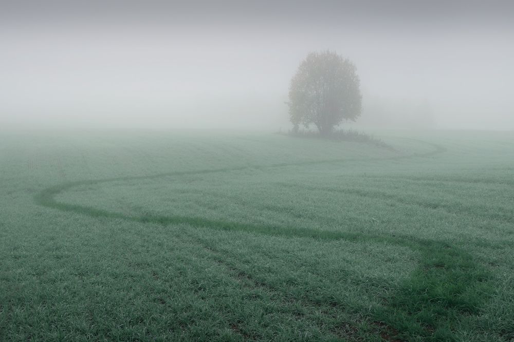 Photograph by Dmitry Medyancev