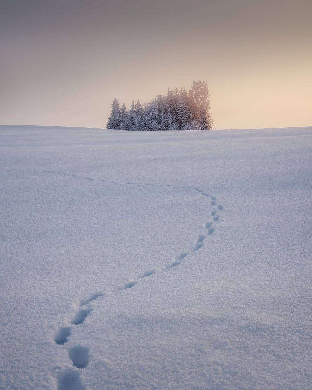 Фотография #11283169