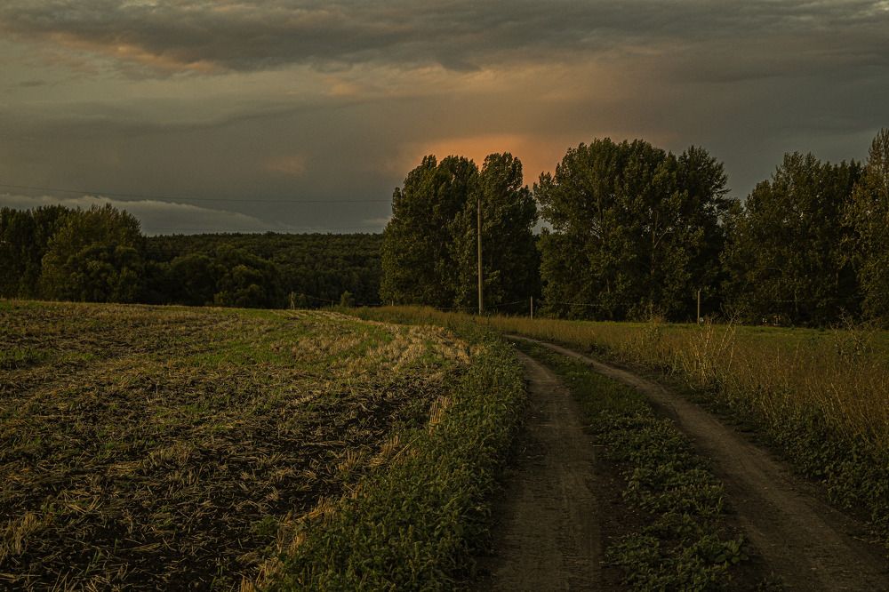 Photograph by Tim Wing