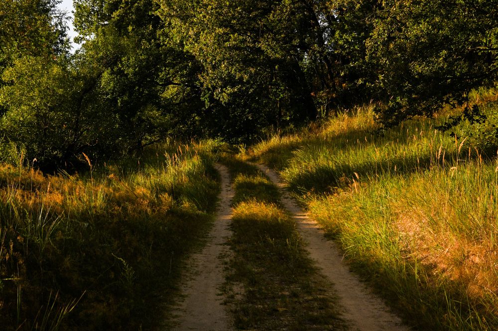 Photograph by Tim Wing