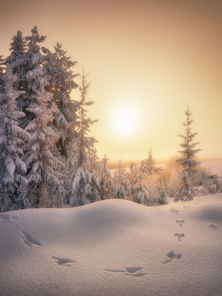 Photograph by Dmitry Medyancev