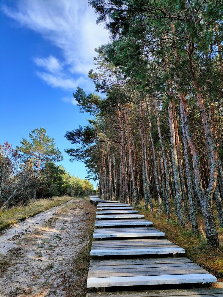 Фотография автора Илья