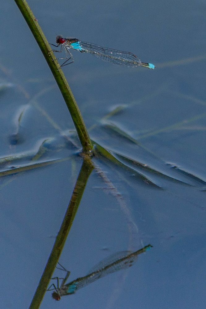 Photograph by Ольга Ильина