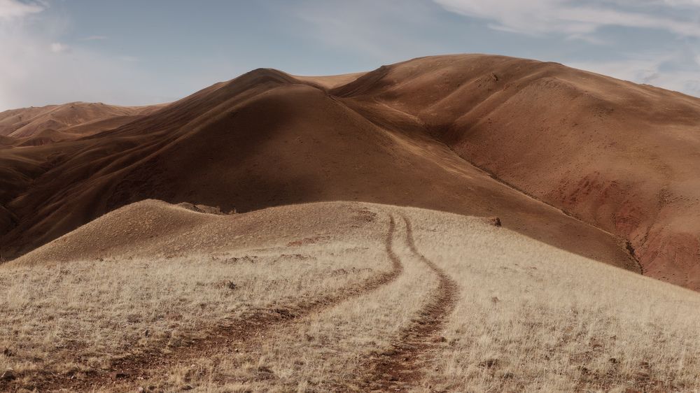 Photograph by Dmitry Medyancev