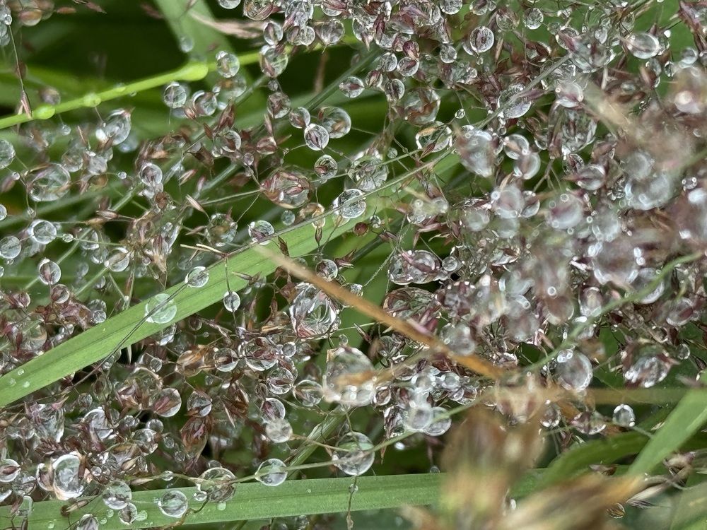 Photograph by Елена Квинт