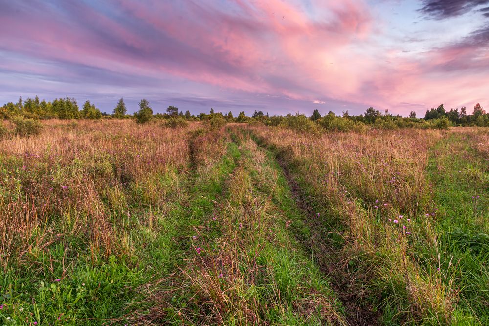 Фотография автора Вячеслав Коробов