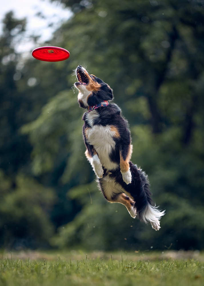 Photograph by Mikhail Khmelevskiy