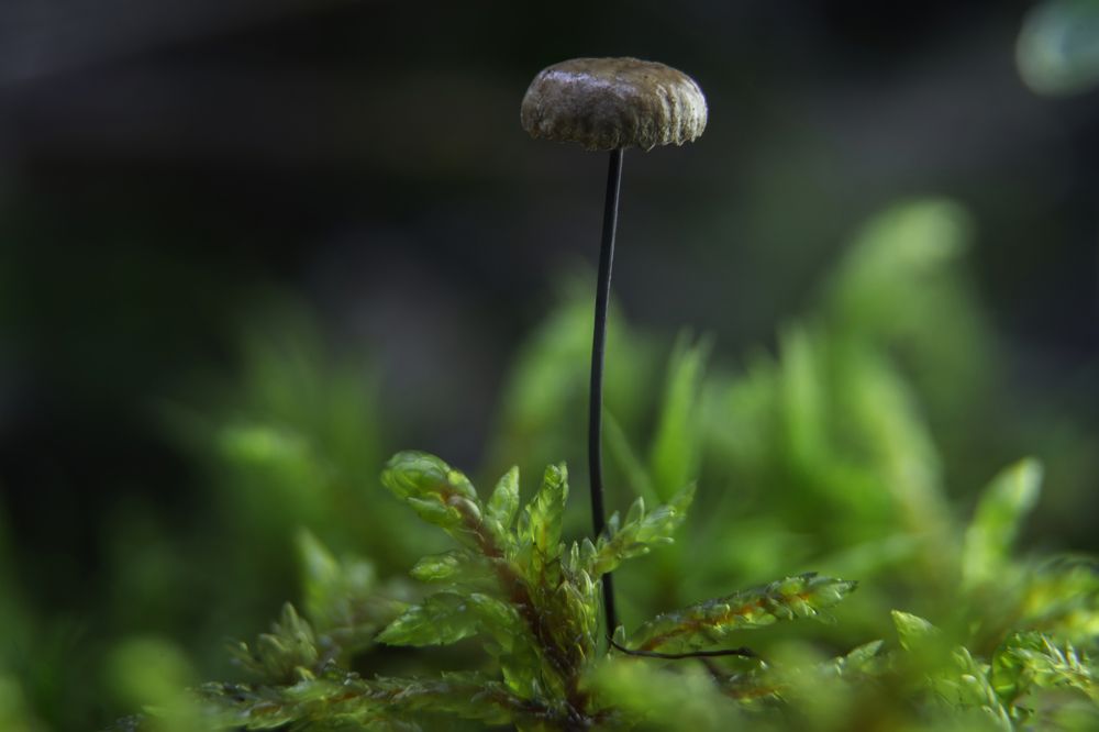 Photograph by Андреев Роман