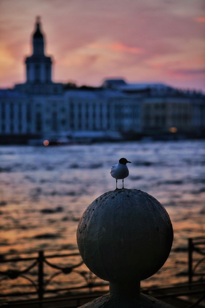 Photograph by Марина Киприна