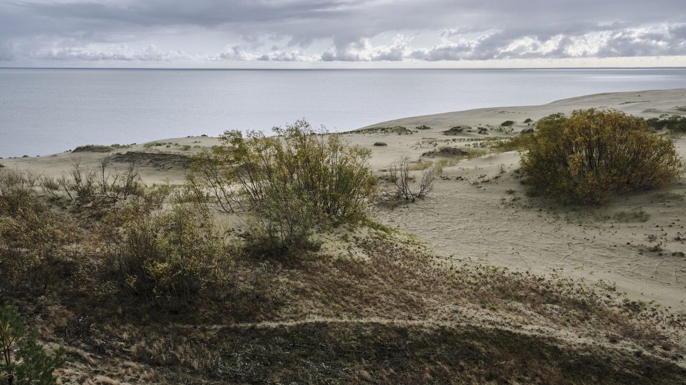 Поющие пески Куршской косы