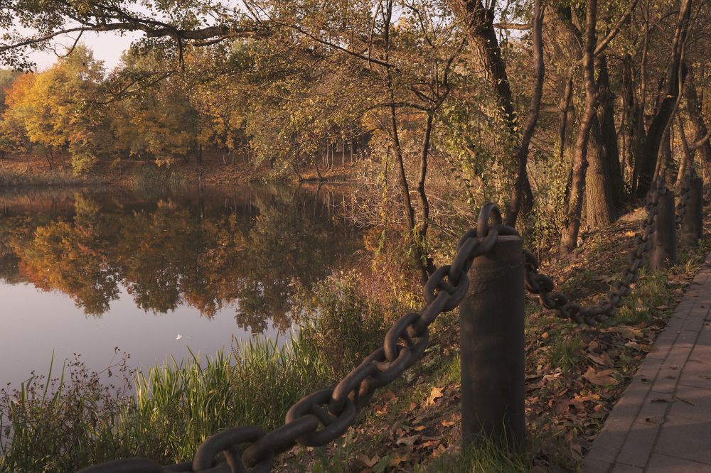 Фотография автора Александр Асланов