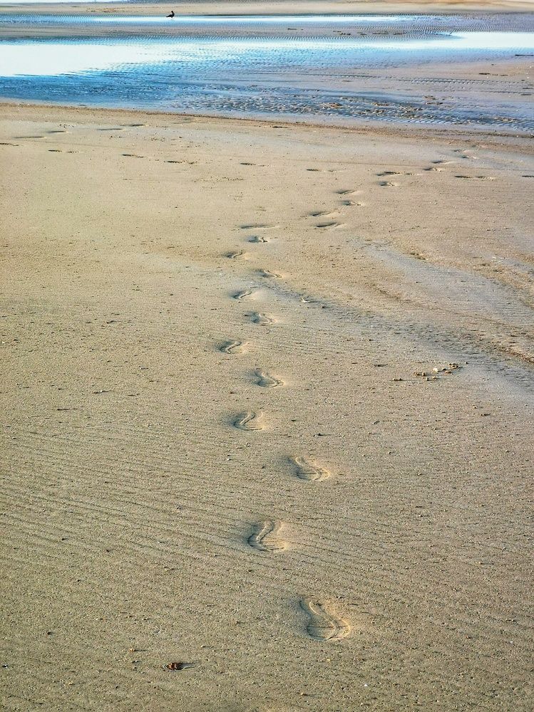 Photograph by Дьяченко Алёна