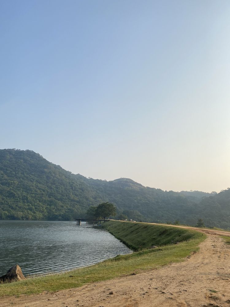 Photograph by Jeyachristy Jeyakumar