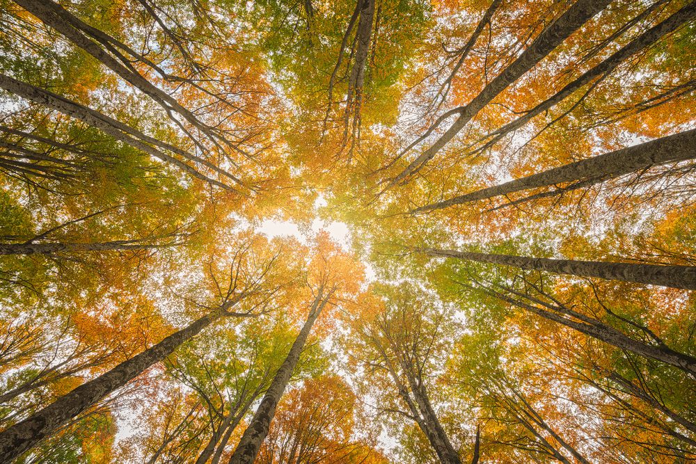 Photograph by Сергей Быков