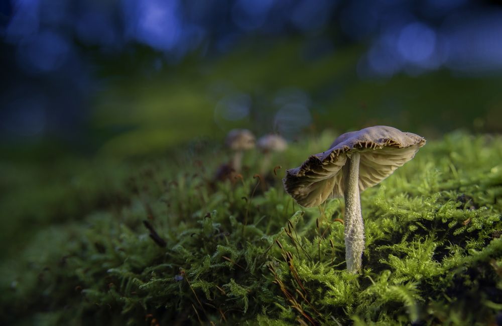 Photograph by Андреев Роман