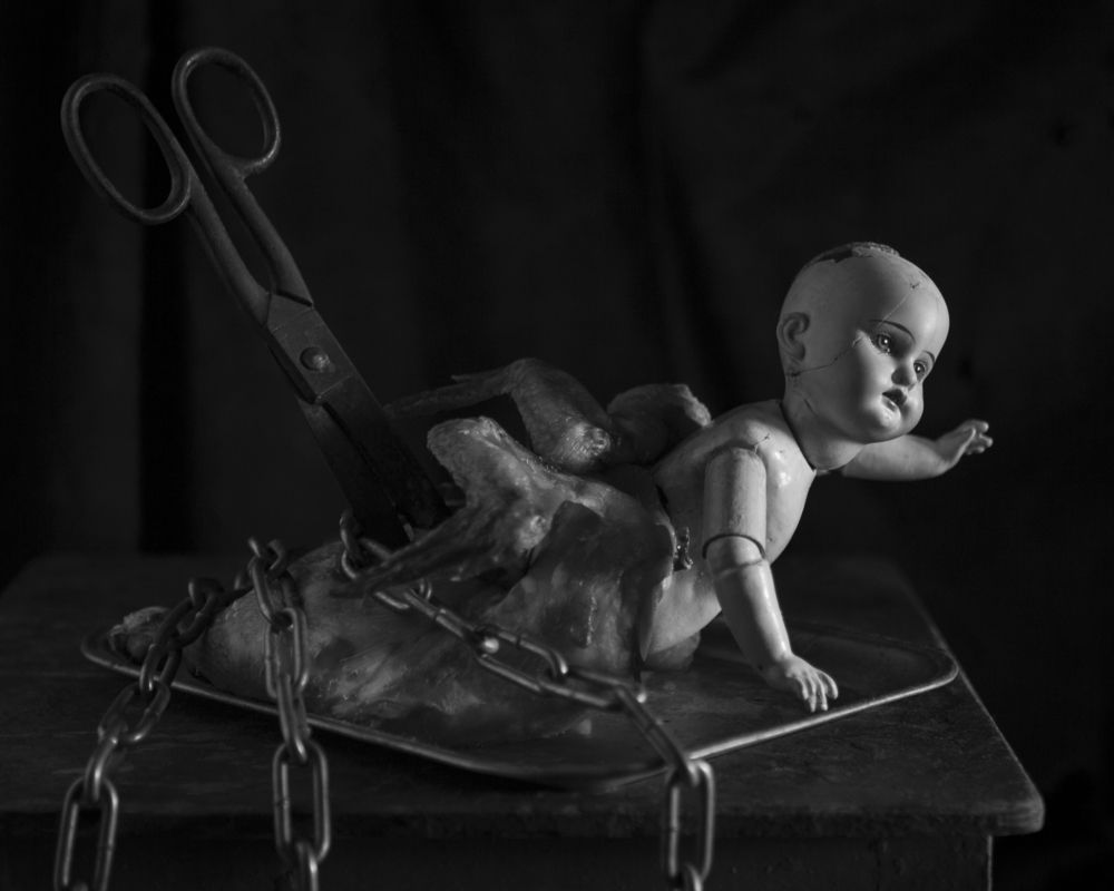 Фотография автора zan zibovsky