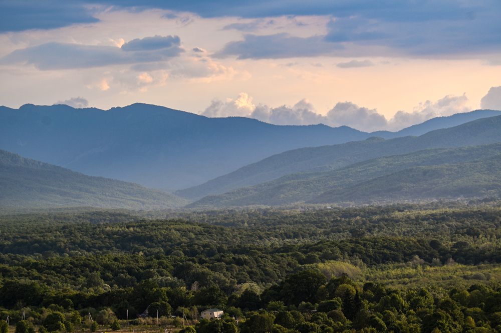 Photograph by Tim Wing