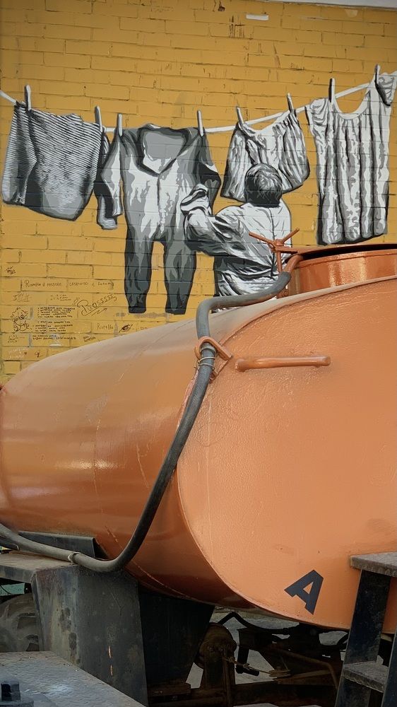 Photograph by Светлана