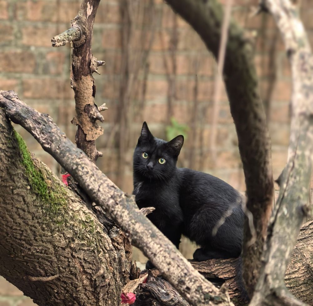 Photograph by Елизавета Зыкова