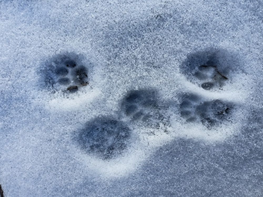 Photograph by Анастасия Горбачева