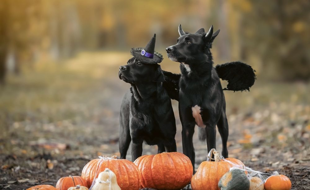 Photograph by Мария Романова