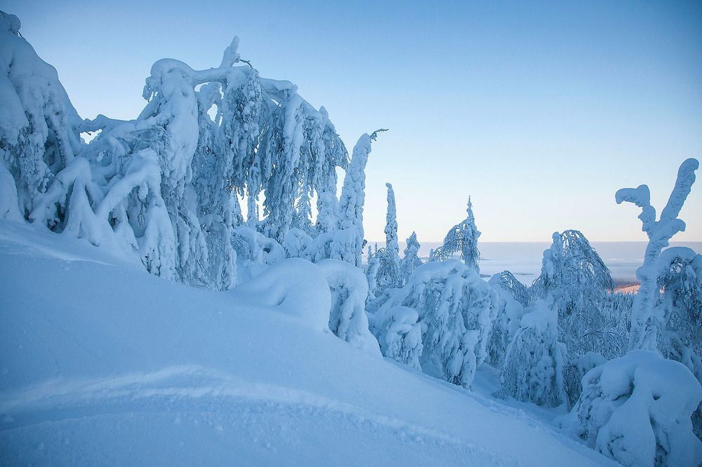 Зефирная зима