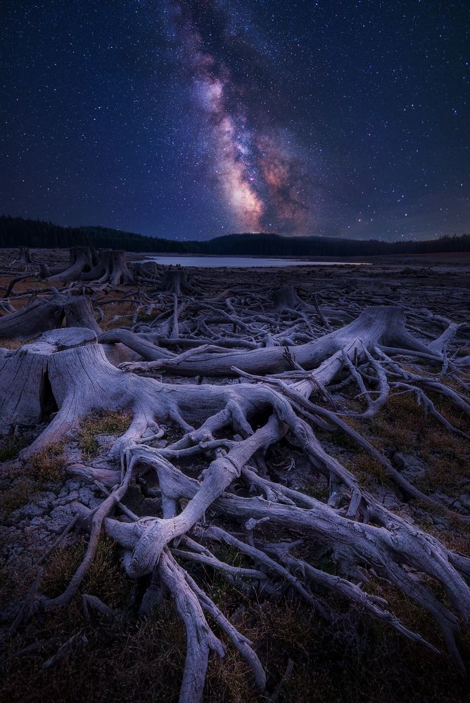 Photograph by Mariyana Atanasova - Lucero