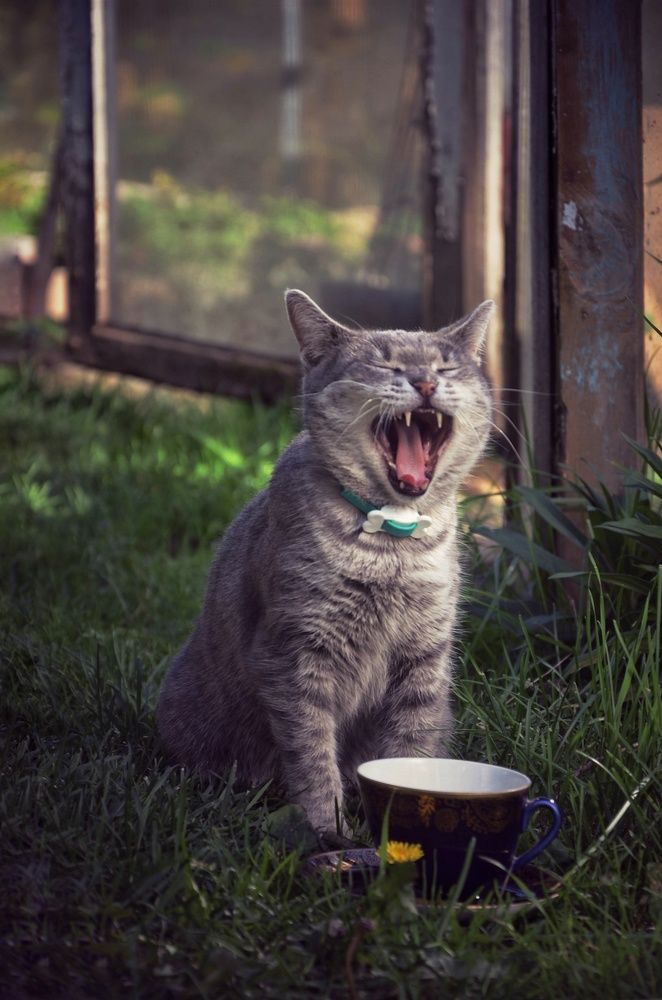 Photograph by Зыкова Мария