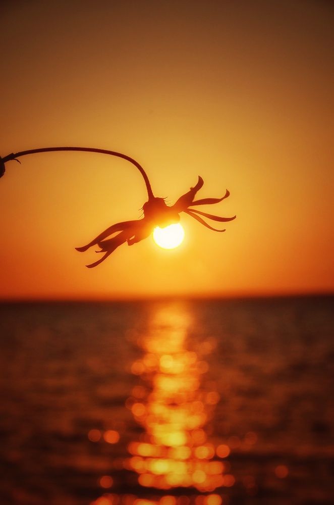 Photograph by Зыкова Мария