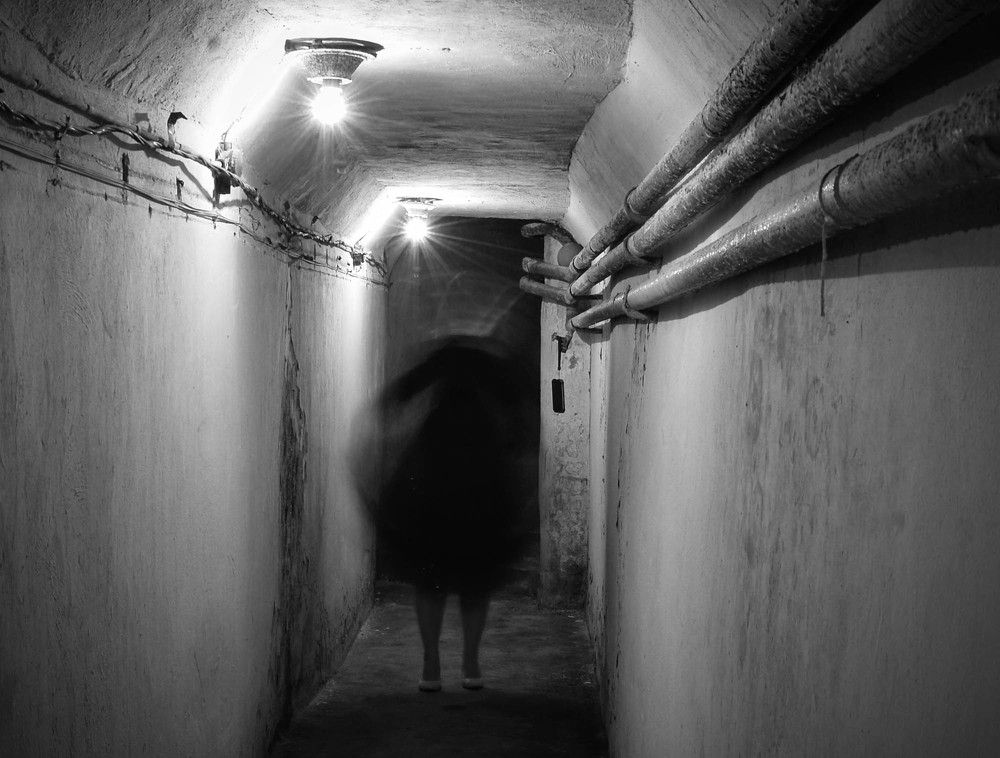 Photograph by Olga Mendosa