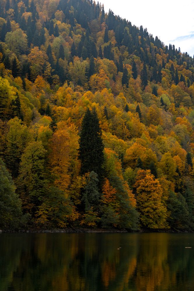 Photograph by София Серёжечкина