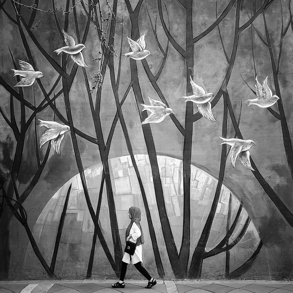 Photograph by Mohammad Dadsetan