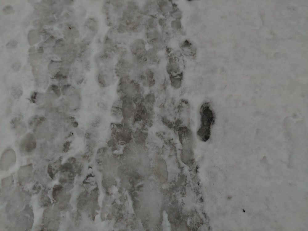 Фотография автора Алина