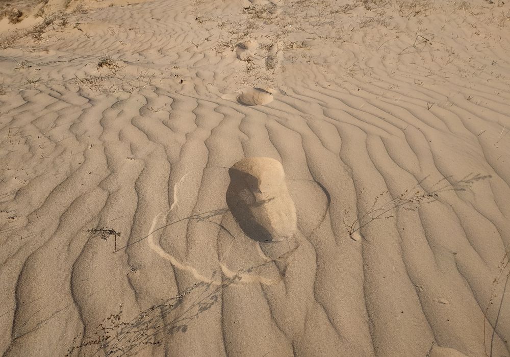 Photograph by Tatiana