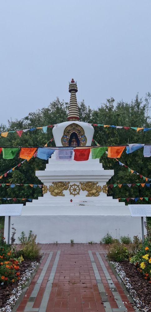 Photograph by Natasha Kim