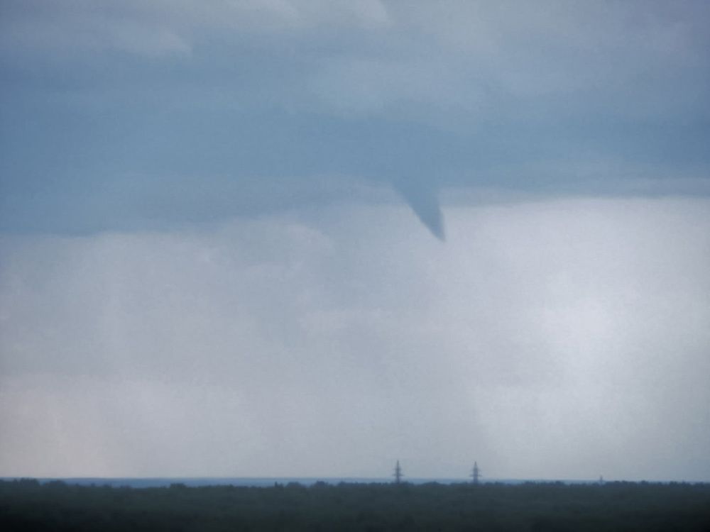 Photograph by Natasha Kim