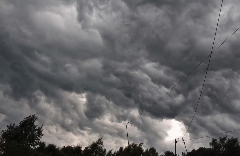 Photograph by Natasha Kim