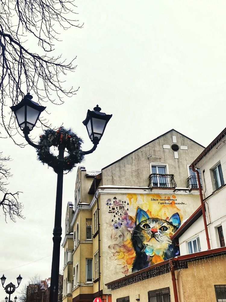 Фотография автора Ринат Абдуллин