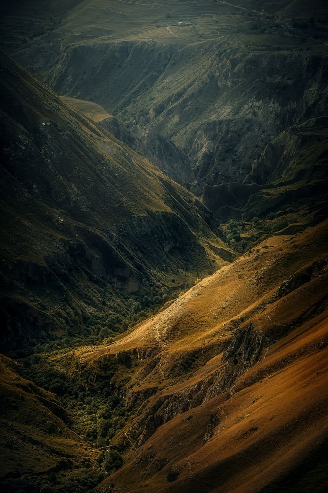 Photograph by Aleksandr Solovev