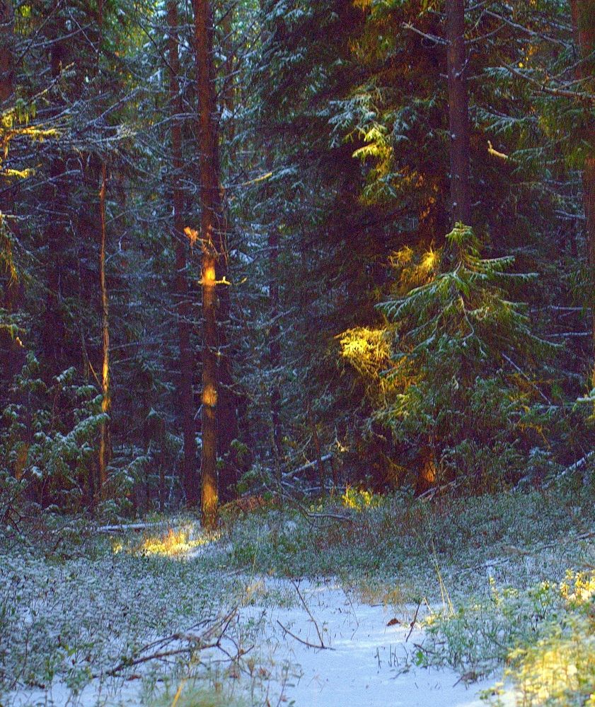 Photograph by Екатерина Филина