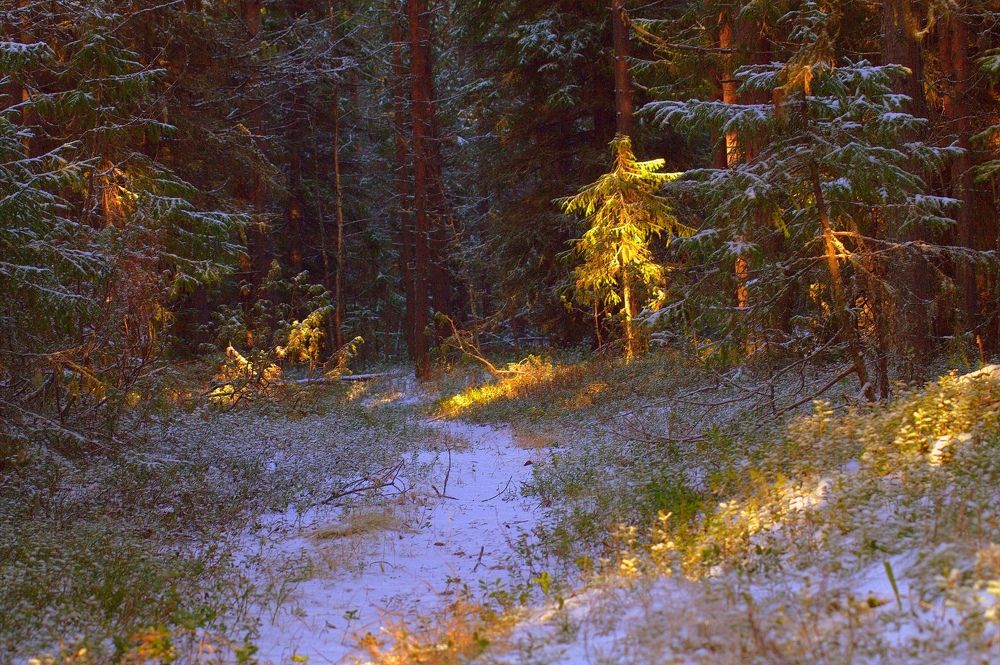 Photograph by Екатерина Филина