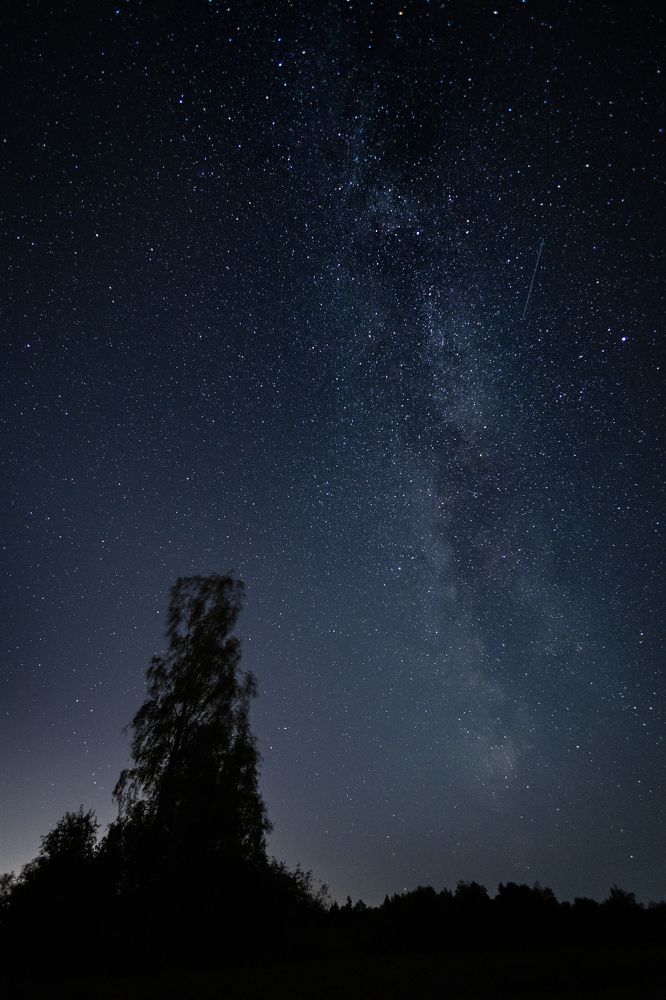 Фотография автора Максим Ремизевич