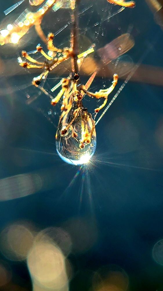 Photograph by Егор Жук